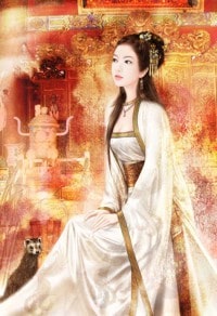 我有大道天書