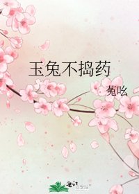 玉兔不捣药